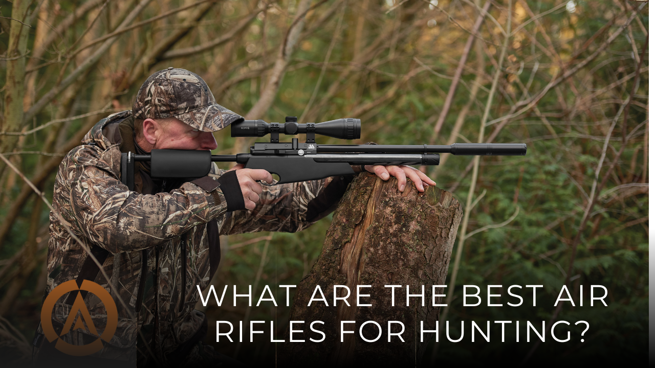 What are the best air rifles for hunting?
